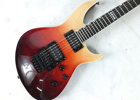 ESP イーエスピー