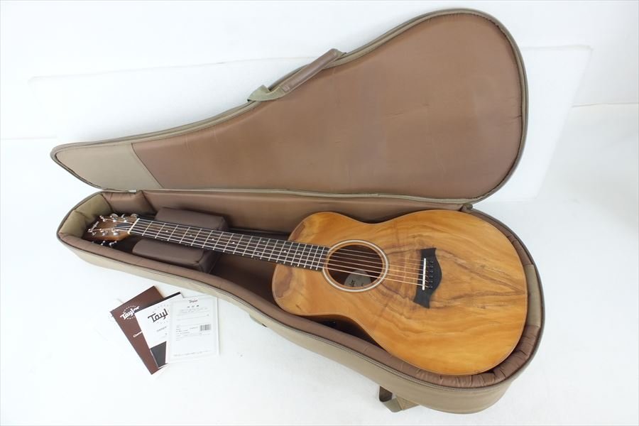 エレアコ Taylor テイラー GS Mini-e KOA