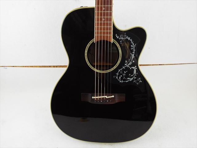 ギター Takamine タカミネ DMP713BL