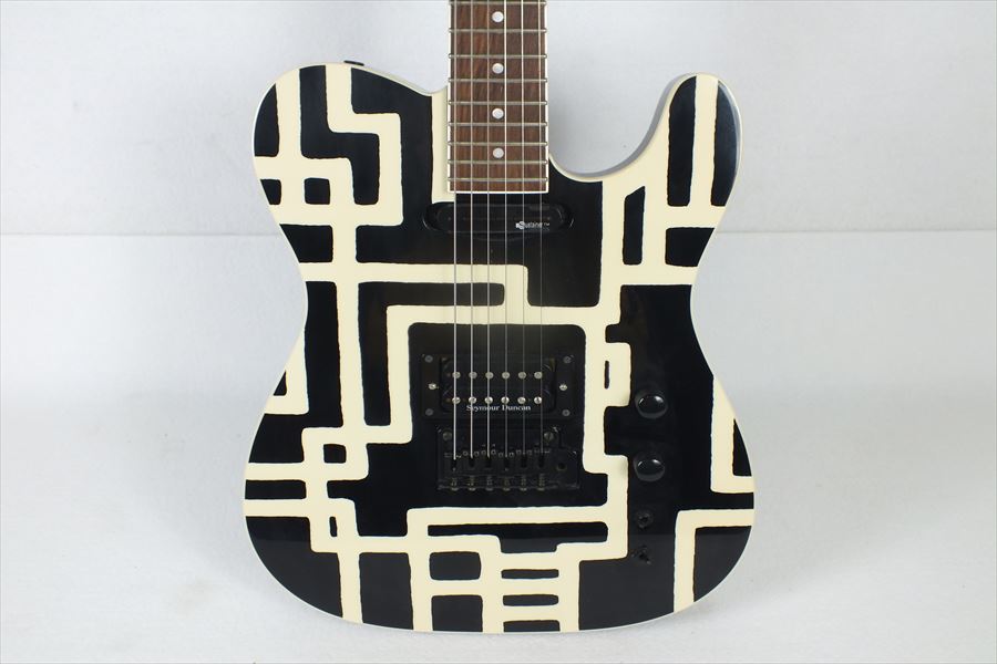 ギター FERNANDES フェルナンデス TE-120S HT